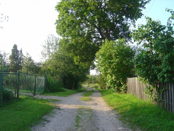  Dziedziule, village (Dziewieniszki rural commune). 
