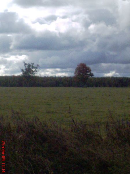  Rakowszczyzna, folwark   (Parafianów gmina wiejska  ). 25 września 2009 rok
