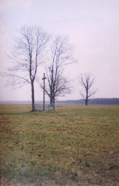  Rakowszczyzna, folwark   (Parafianów gmina wiejska  ). 30 kwietnia 2003 rok